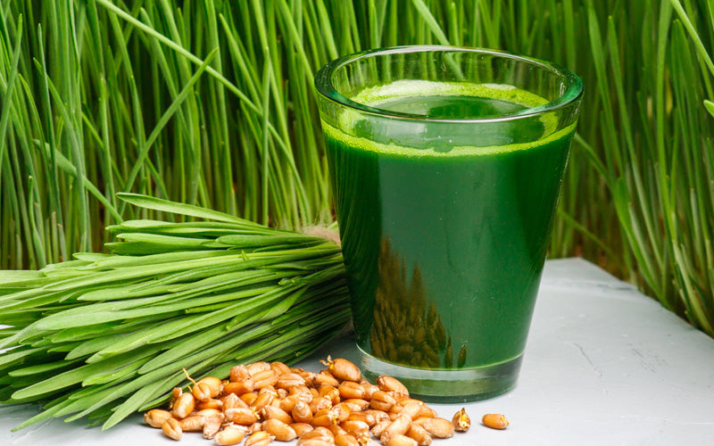 Wheatgrass Delight Juice