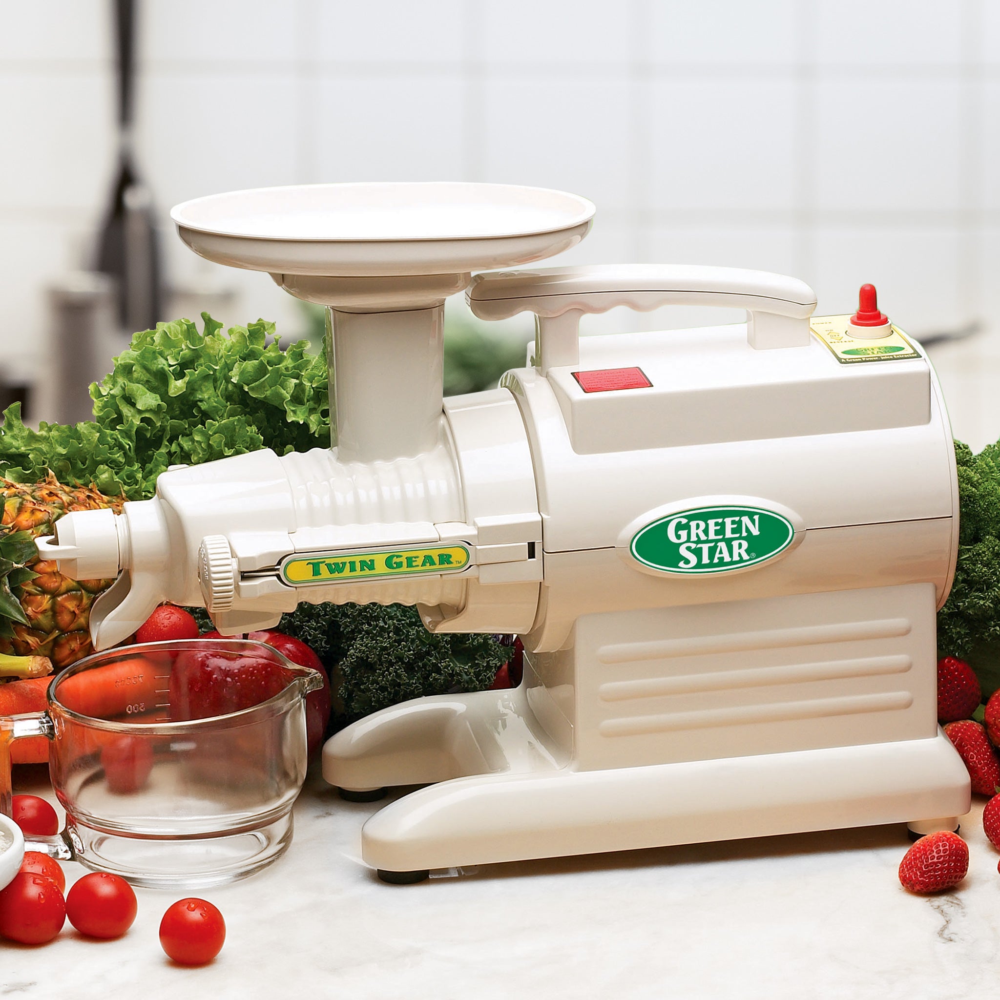 Greenstar Original Basic Twin Gear Slow Masticating Juicer GS-1000-B - Tribest