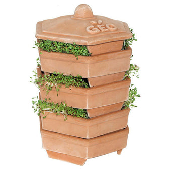 GEO Terradisiena 4-Tier Terracotta Sprouter