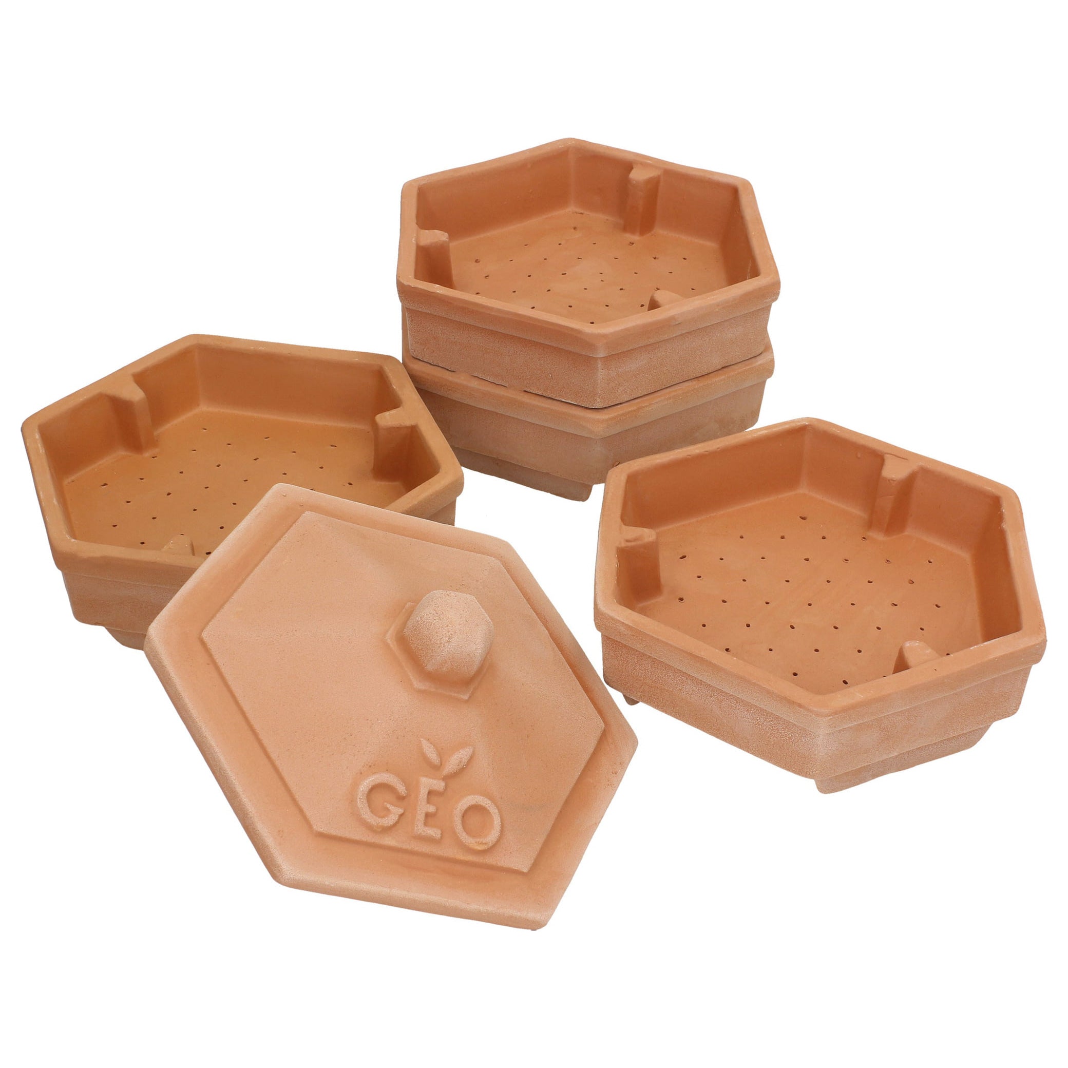 GEO Terradisiena 4-Tier Terracotta Sprouter