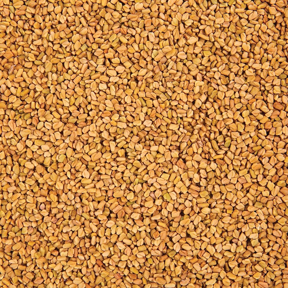 Sproutman's Organic Fenugreek Sprouting Seeds (16 oz) SEEDBS18 - Tribest