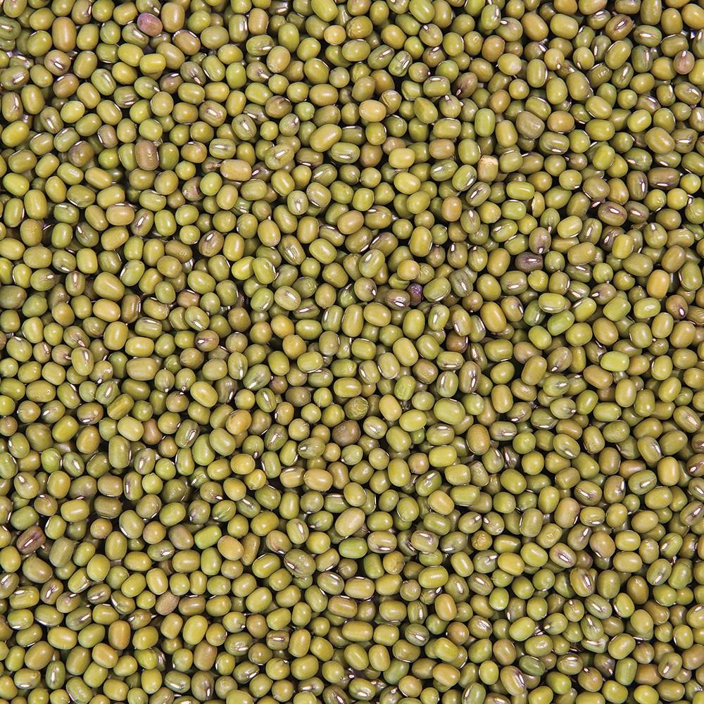 Sproutman's Organic Mung Bean Sprouting Seeds (16 oz) SEEDBS10 - Tribest