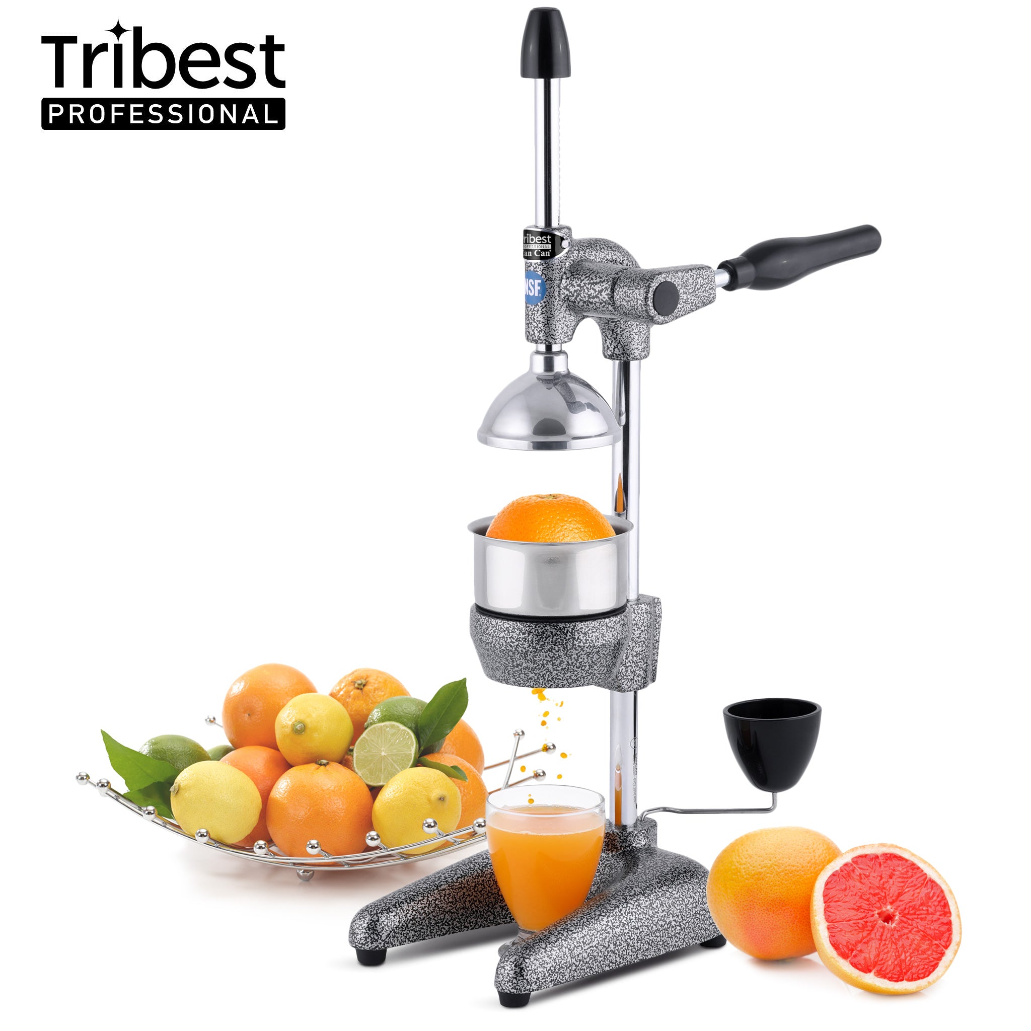 Tribest Professional Cancan Manual Juice Press MJP-100GYR in Gray