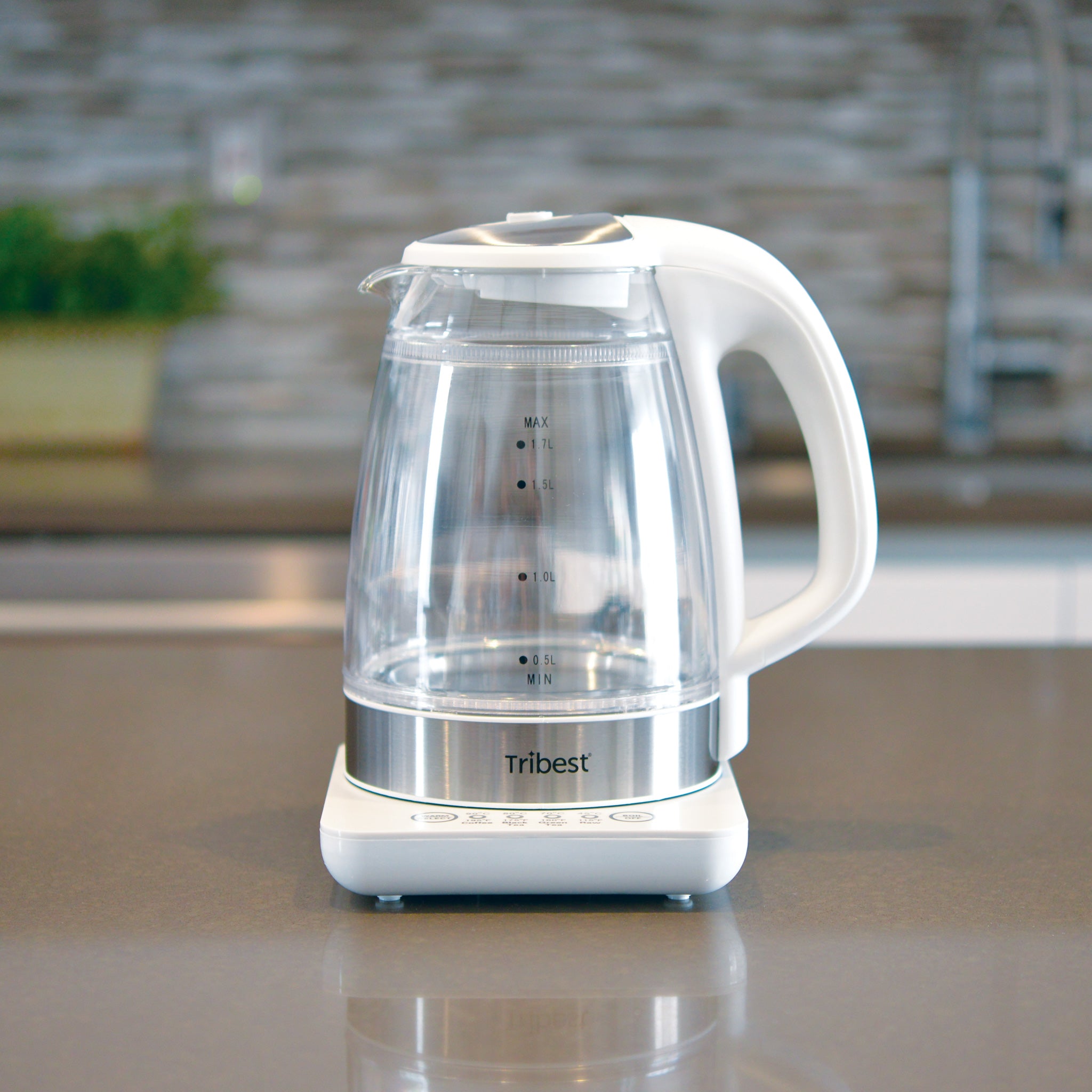 Raw Tea Kettle® Glass Electric Water Kettle GKD-450-B - Tribest